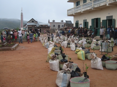 Distribution des pommes de terre en avril 2012.
